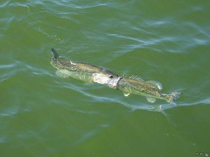 Размер имеет значение