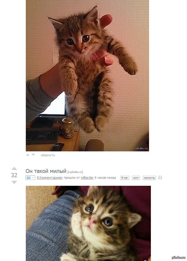    :3 