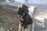 ������ ���� ����� ��������