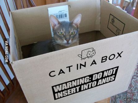 Что-то тут не так