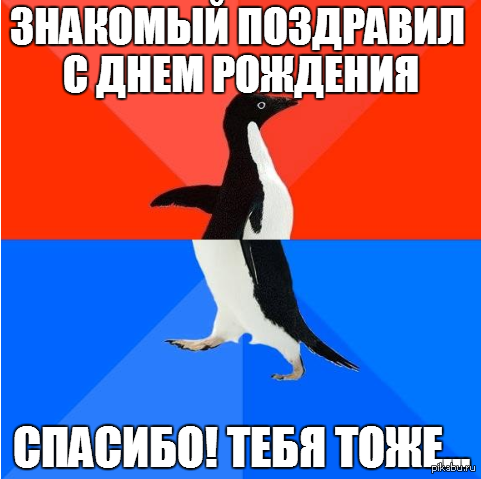 ����� ������ ���� ��������