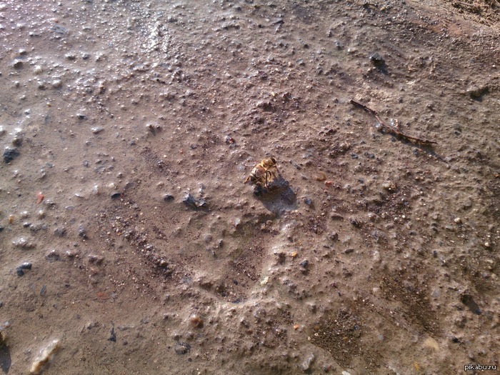 ����� �����,18 ������,�������