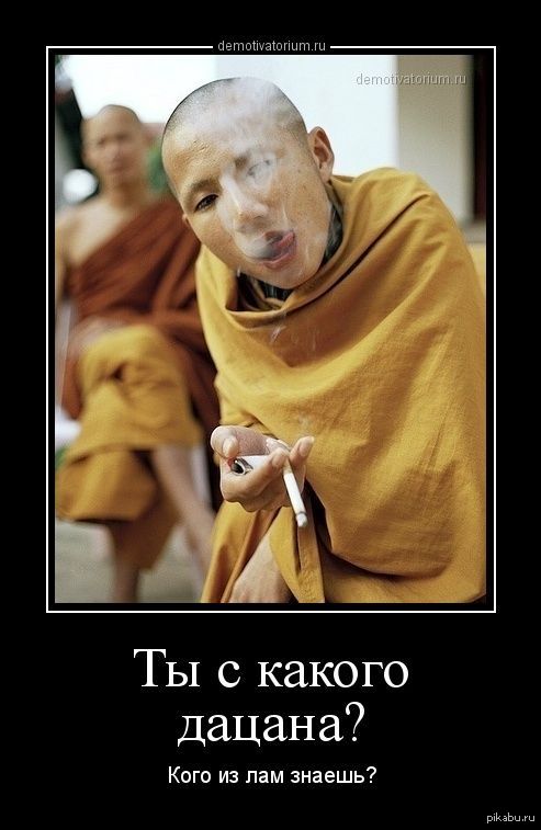 Дзен буддизм смешные картинки, поздравительные открытки