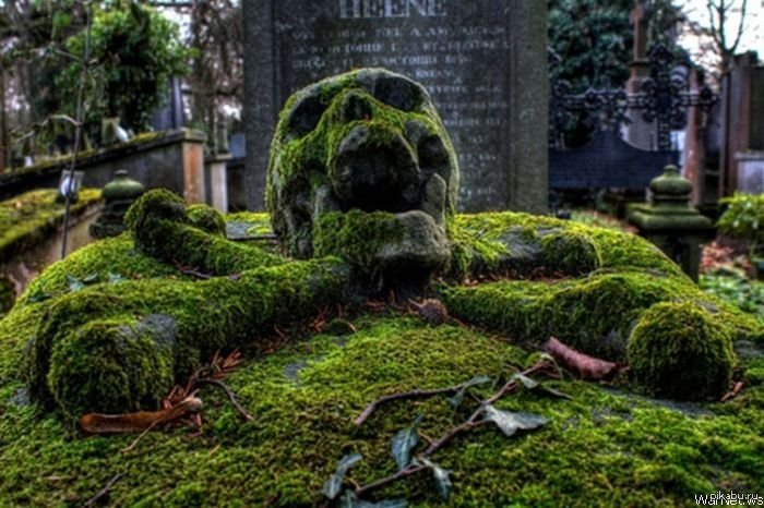 ������� ���.