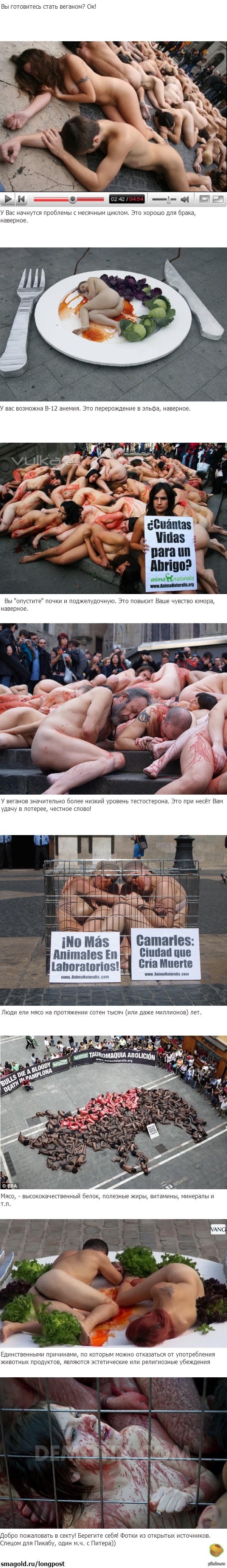 Many naked bodies, you will like it here, come! - NSFW, My, Nude, Vegans and meat eaters, Blood, Longpost