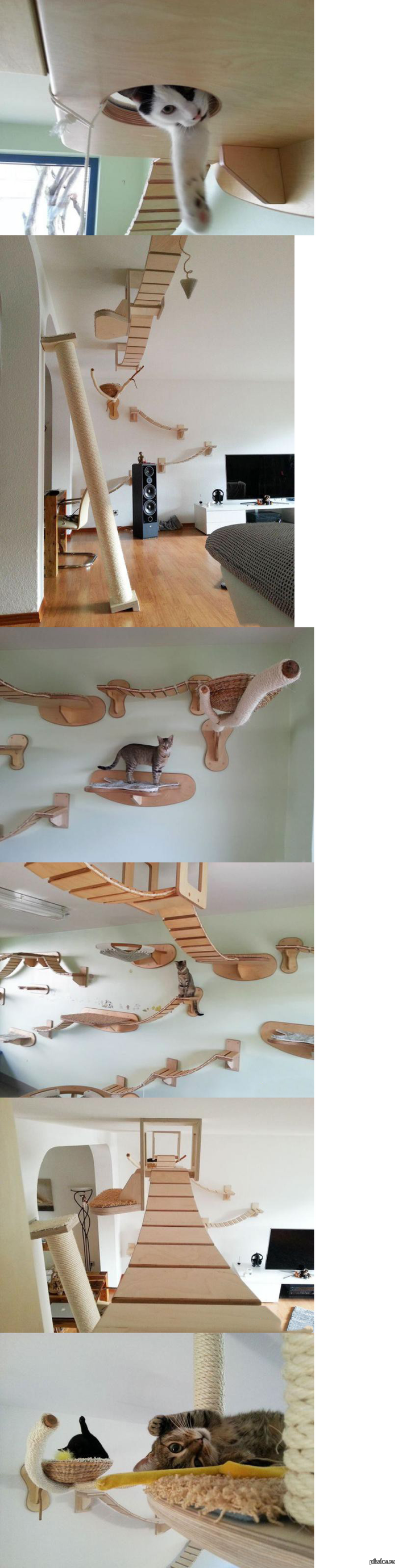 ��� ��� �����