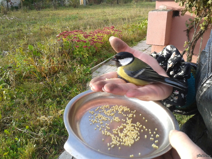 ��� ����� �������� ����� ������ �� ������� :)