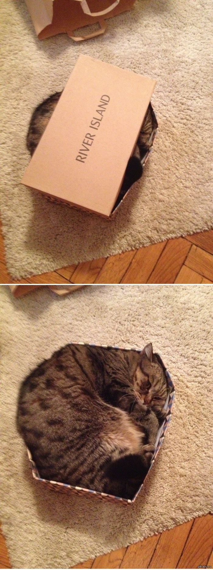 �� �������