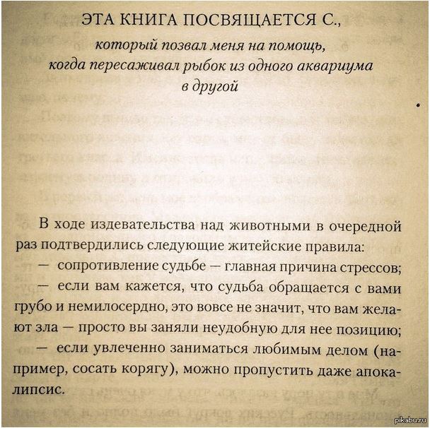 Снова Макс Фрай. | Пикабу