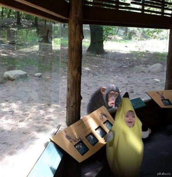 She wanted to go to the zoo in her new banana costume to see the monkeys - Children, Banana, Monkey, Zoo