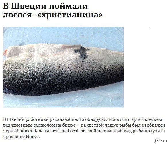-   -http://lenta.ru/news/2013/09/20/fish