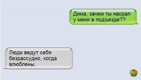 Зачем ты мне про. Приколы про Диму смешные. Анекдот про Диму смешной. Смешные картинки про Диму.