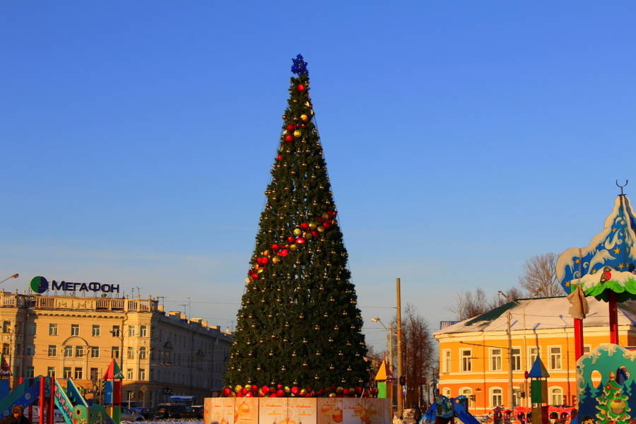 Главная елка карелии. Петрозаводск елка на площади Кирова. Елка в Петрозаводске на Кирова. Площадь Киров Петрозаводск елка. Главная елка Республика Петрозаводск.