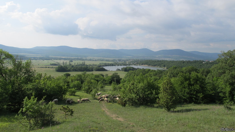 Погода село орловское. Орловское (Крым). Орлово Крым. Село Орловское. Пос Орлов Крым.