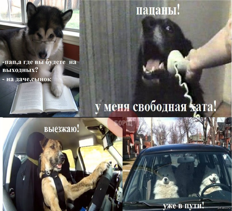 Новогодняя наркомания) | Пикабу