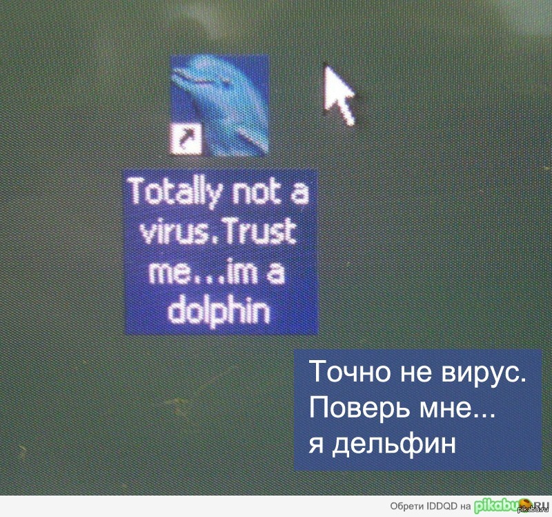 Not a virus heur downloader win32. Вирус Дельфин. Trust me i'm a Dolphin. I`M A Dolphin, totally not a virus. Точно не вирус.