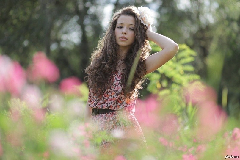 Французская няшка | Пикабу