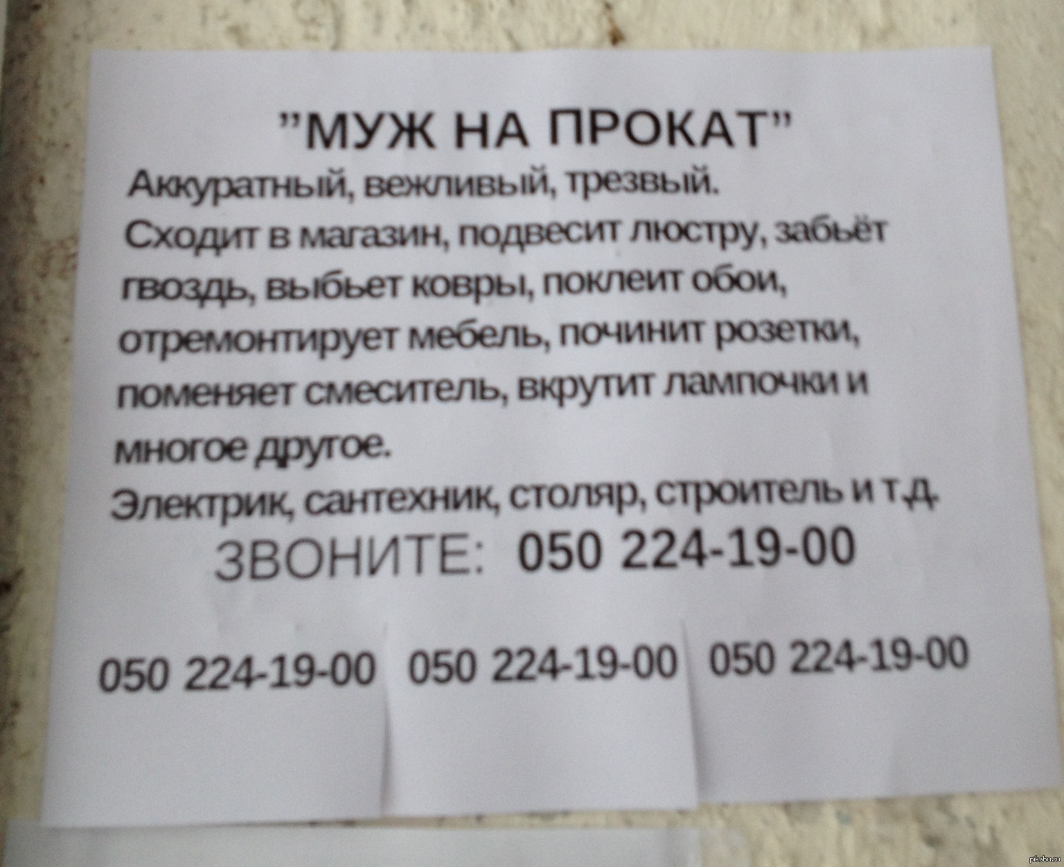 Сдам мужа в аренду. Объявление муж в аренду. Отдам мужа в аренду. Объявления о сдаче жены. Жена в аренду объявления.