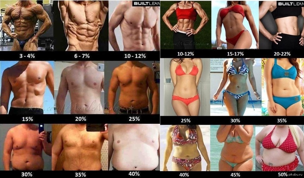 Норма жира в организме мужчины. Процент жировой ткани. Процент жира у мужчин. Vghjwtyn ;BHS E ve;XBY. Таблица подкожного жира.