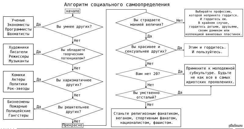 Алгоритм теста. Смешной алгоритм. Шуточные алгоритмы. Алгоритм прикол. Алгоритм самоопределения.