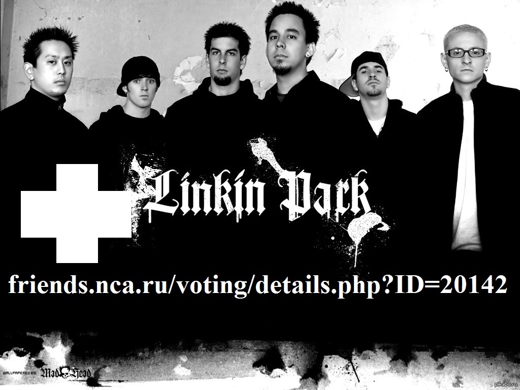 Помогите с концертом Linkin Park | Пикабу