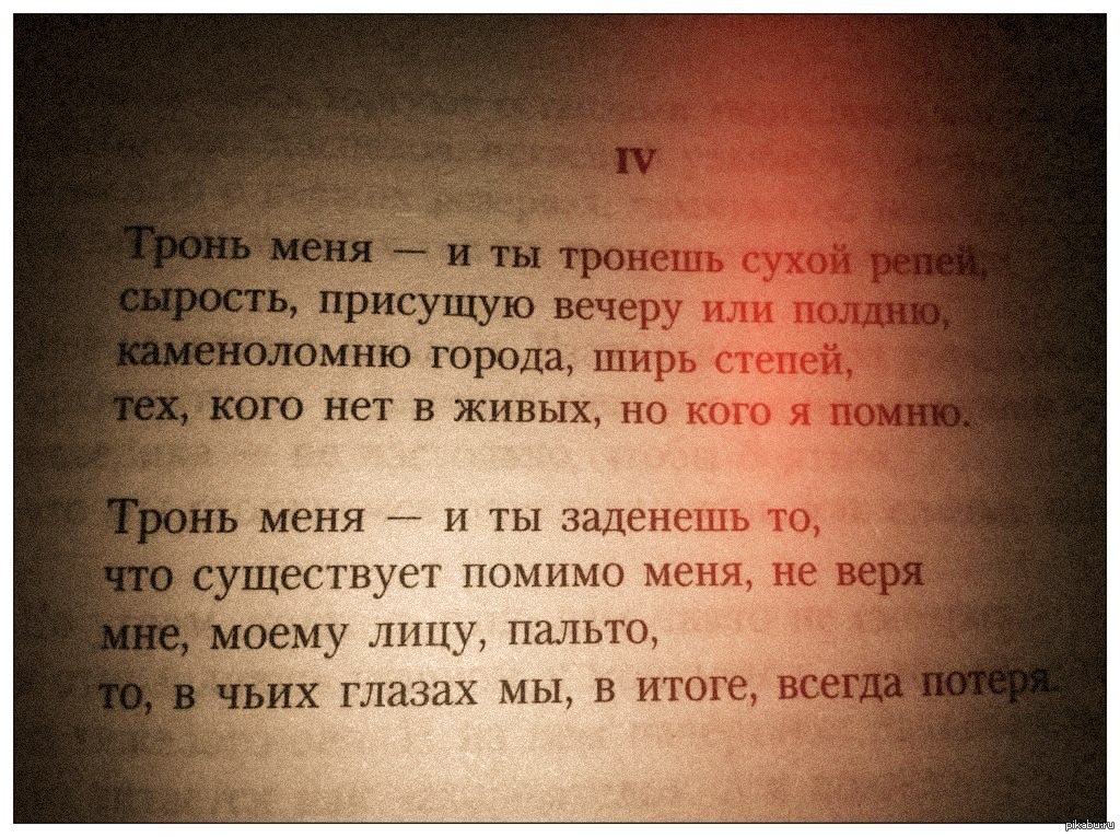 Стихотворение бродского. Бродский стихи. Иосиф Бродский стихи о любви. Бродский стихи о любви лучшие. Бродский стихи лучшее.