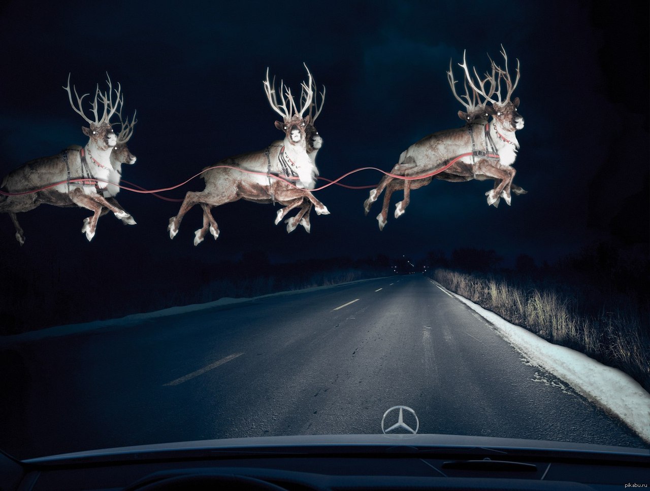 Лось летает. Летающий олень. Олень Санта-Клауса. Олень на дороге ночью. Новогодний олень.