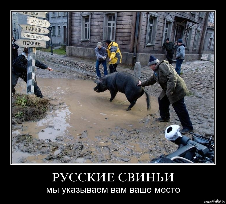 Русский язык свиней. Руска свiнья. Рускип свиньи.