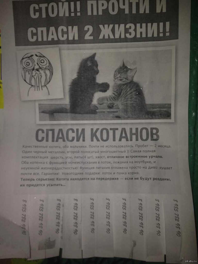 Стой прочитай