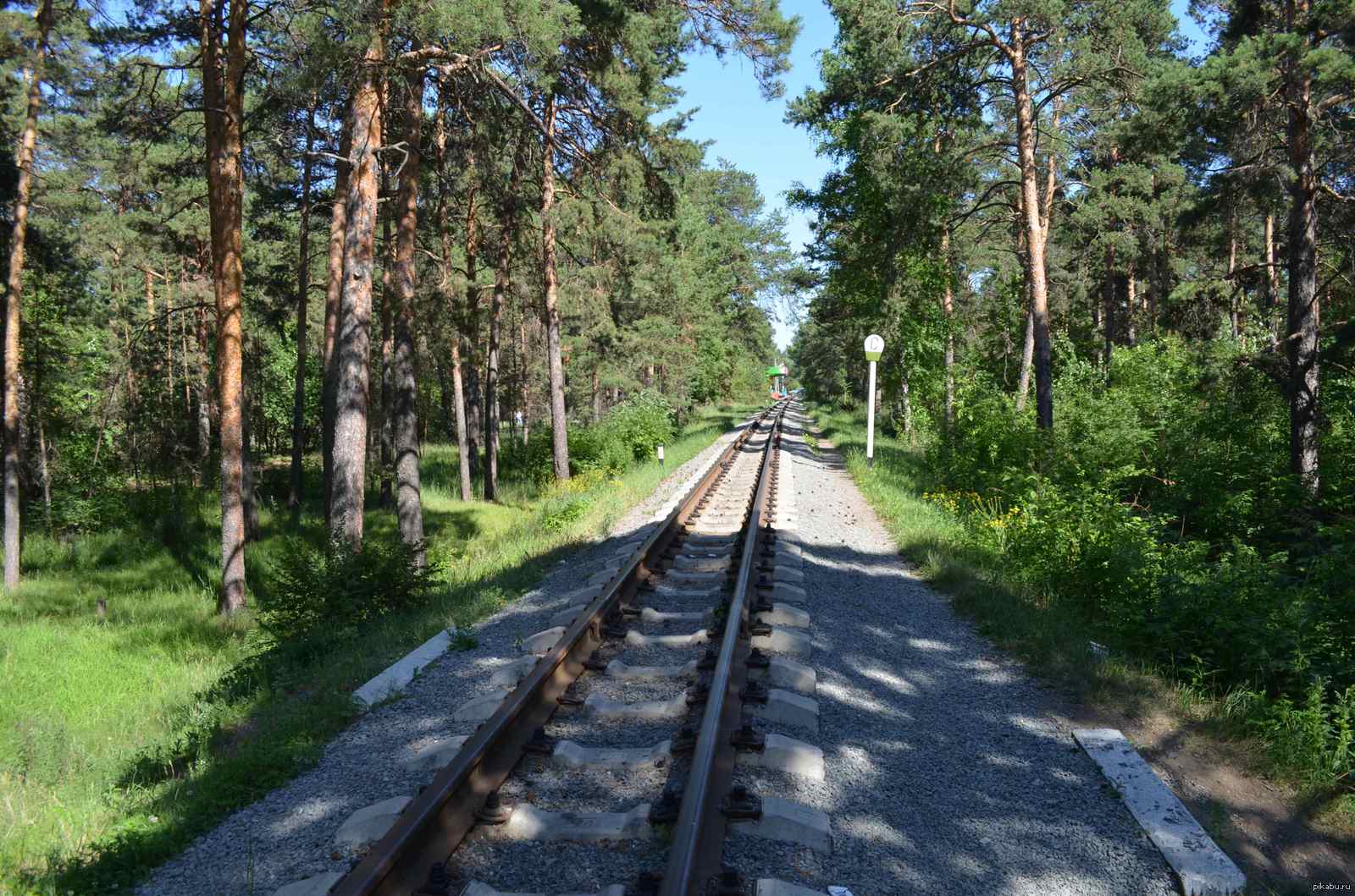 Early summer morning in the Chelyabinsk PKiO - My, Pictures and photos