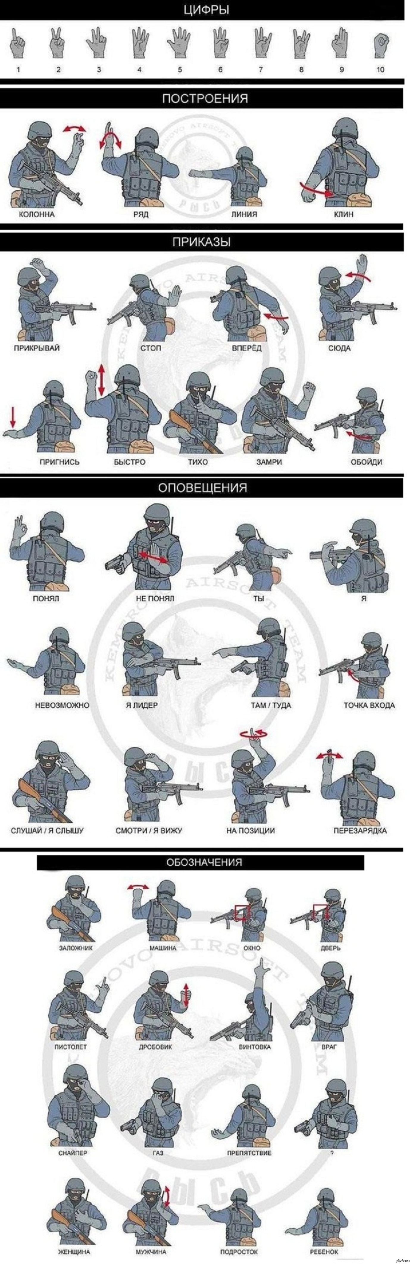 Как понять, что означают тактические жесты спецназа. | Пикабу