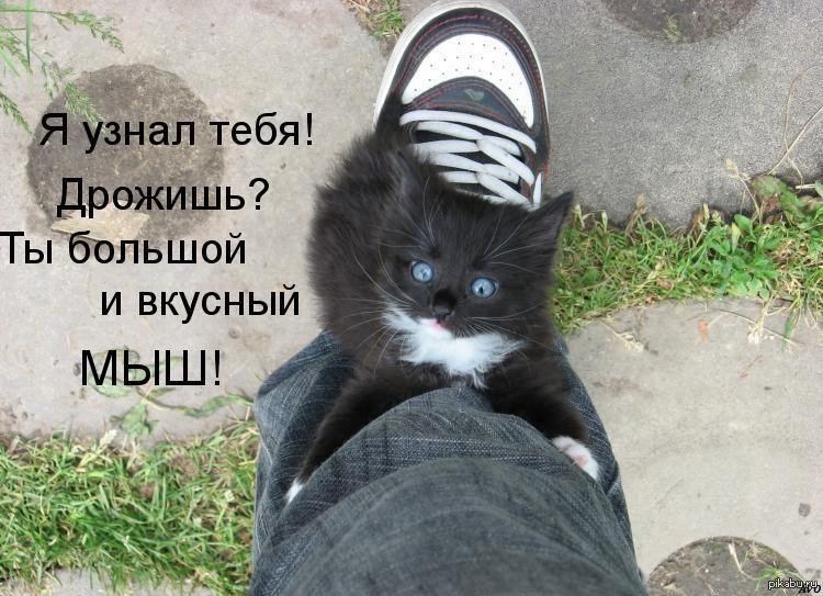 Миляга | Пикабу