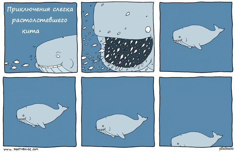Киты мама текст. Шутки про китов. Комиксы про китов. Кит прикол. Кит Мем.