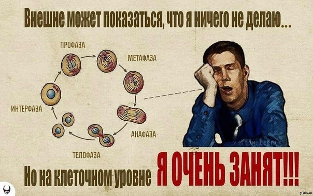 Вам делать это только в. Занят на клеточном уровне. Бездельник прикол. На клеточном уровне я очень занят. Работа ничего не делать прикол.