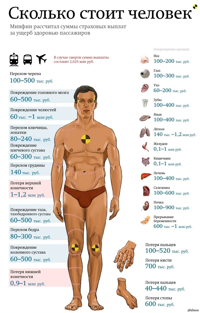 Сколько стоя органы человека. Стоимость человеческих органов на черном рынке. Стоимость органов человека. Продать все органы. Внутренние органы человека.