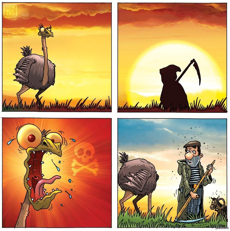 Comic net. Комикс про страуса. Смешной страус рисунок. Приколы про страусов в картинках. Комикс природа.