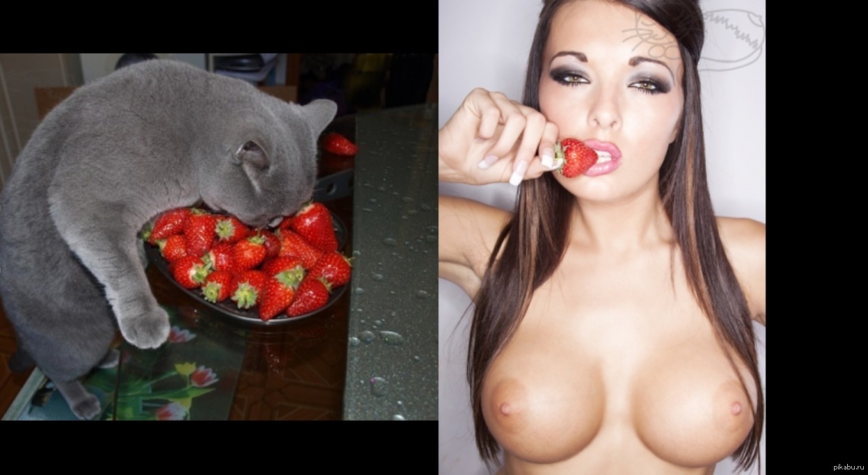 Strawberry - NSFW, Boobs, cat, Strawberry