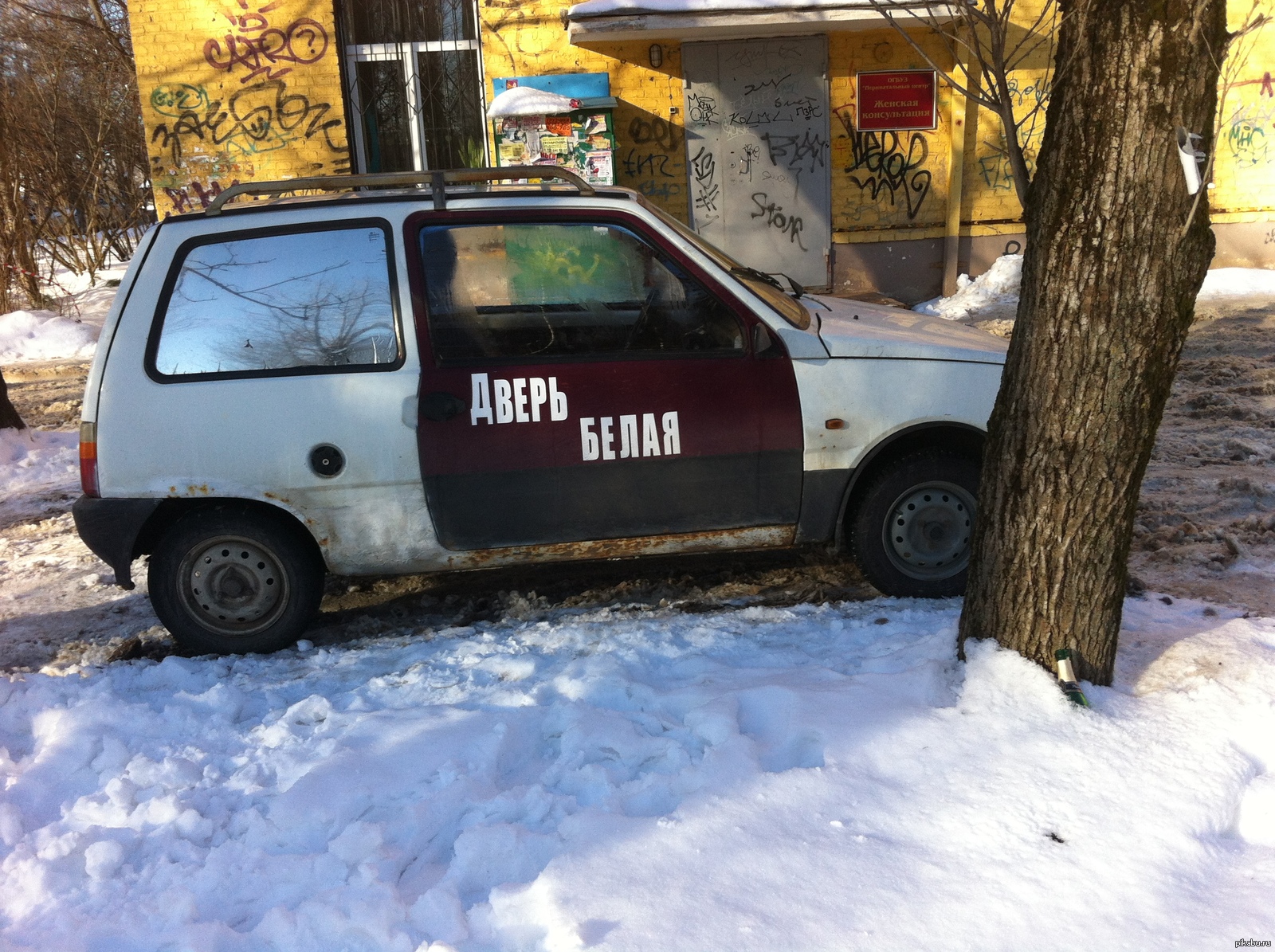 Действительно | Пикабу