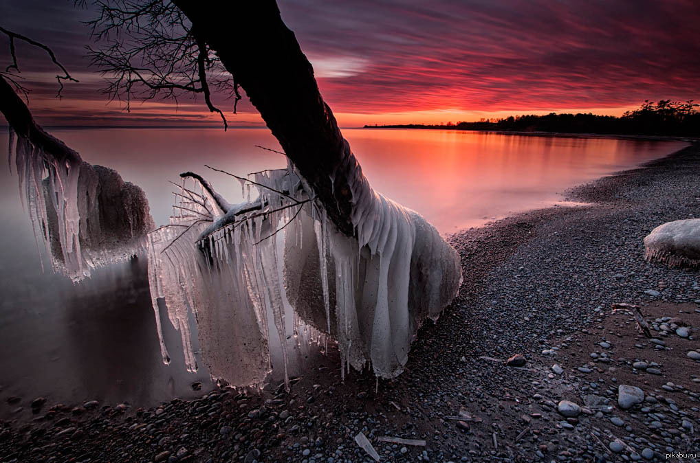 Деревья в снегу. Заледеневшая волна. Замерзшее море. Ледяной дождь. Зимняя река подо льдом.