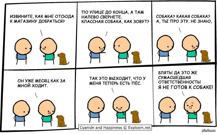 Ваша собака не кусается. Когда твоя собака что то съела. Когда твоя собака что-то жрёт. Это что твоя собака. Ваша собака не кусается.