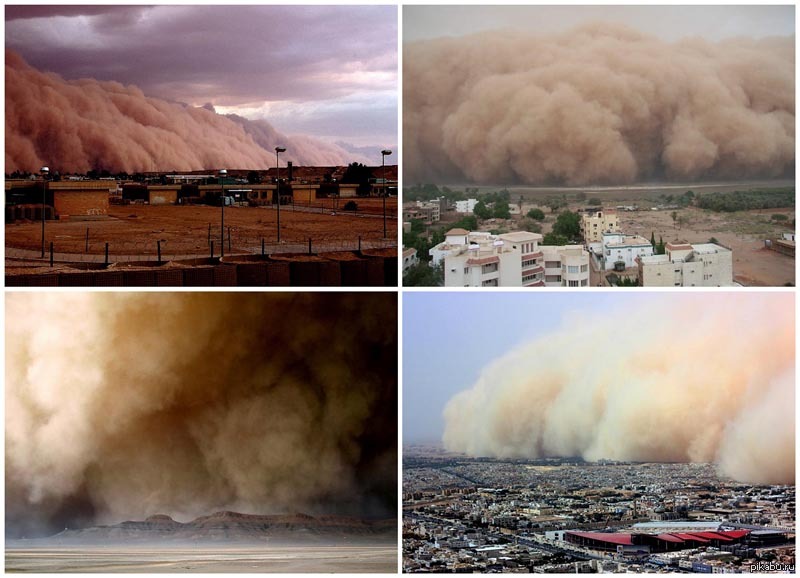 Буря в алматы сегодня. Самум Песчаная буря. Самум в пустыне. Самум ветер пустыни. Хамсин ветер пустыни.