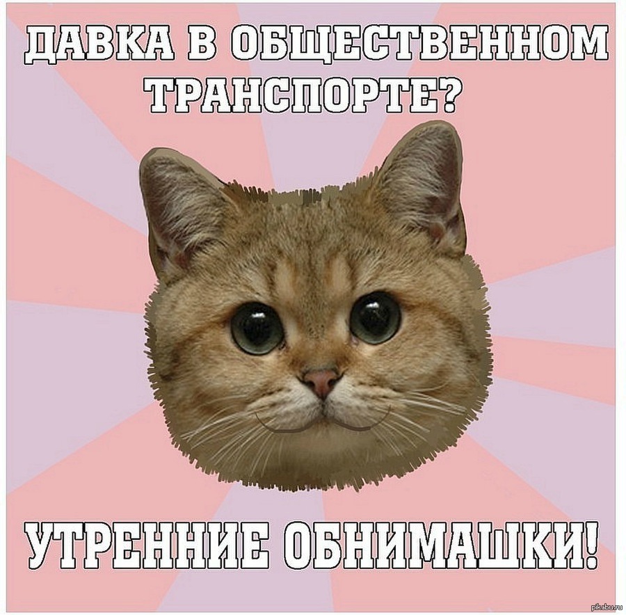 Обнимашки мем. Сочувствие мем. Мем обнимашки. Иди обниму картинки. Слезы счастья мем.