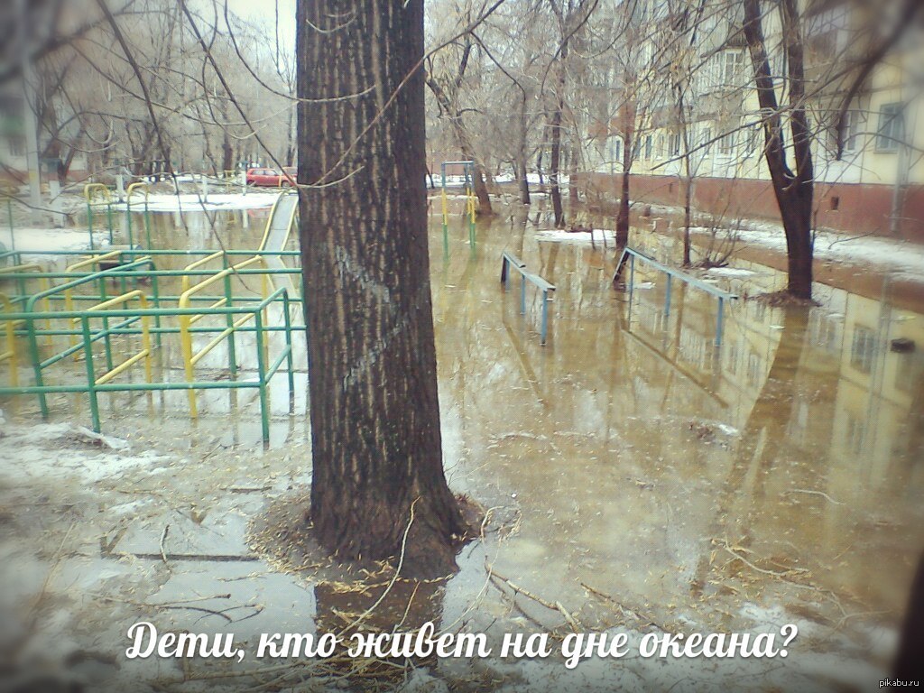 у вас так же? | Пикабу