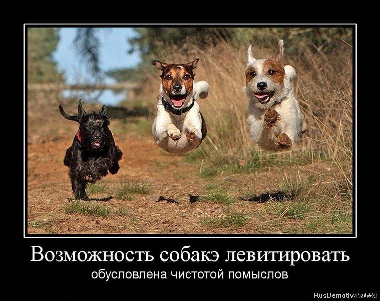 Наконец то пятница смешные
