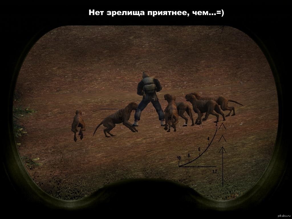 Отличный момент | Пикабу