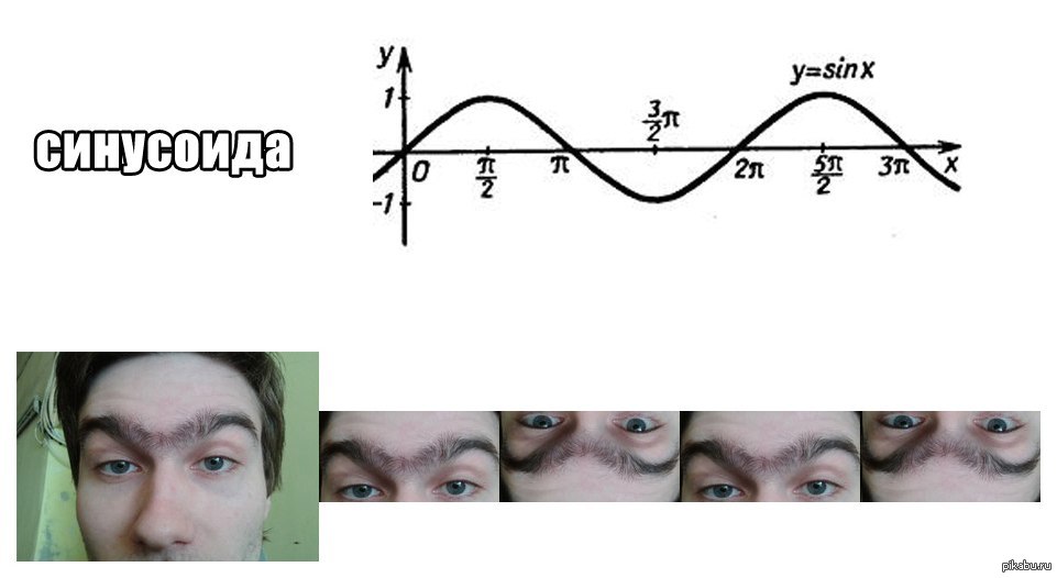 Картинки синусоида анонимуса