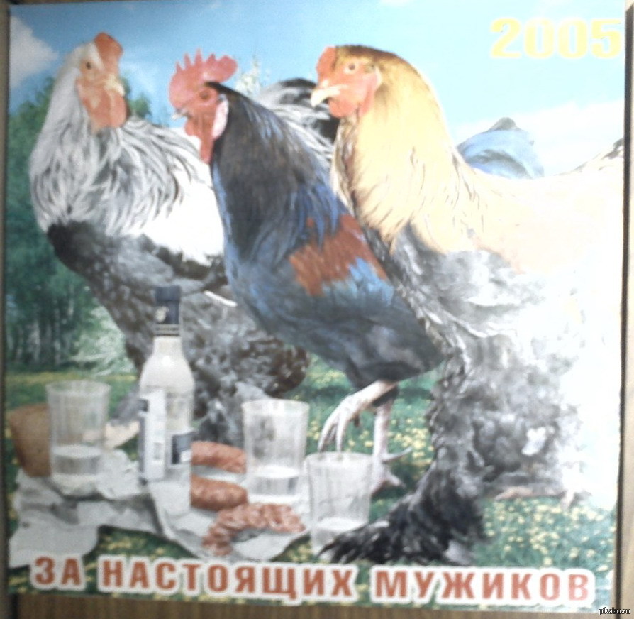 Untitled | Пикабу
