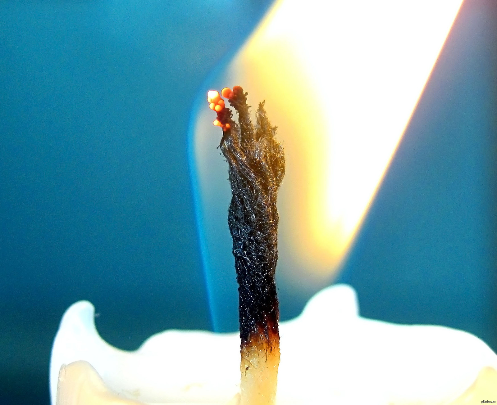 в самой глубине белый фитилек