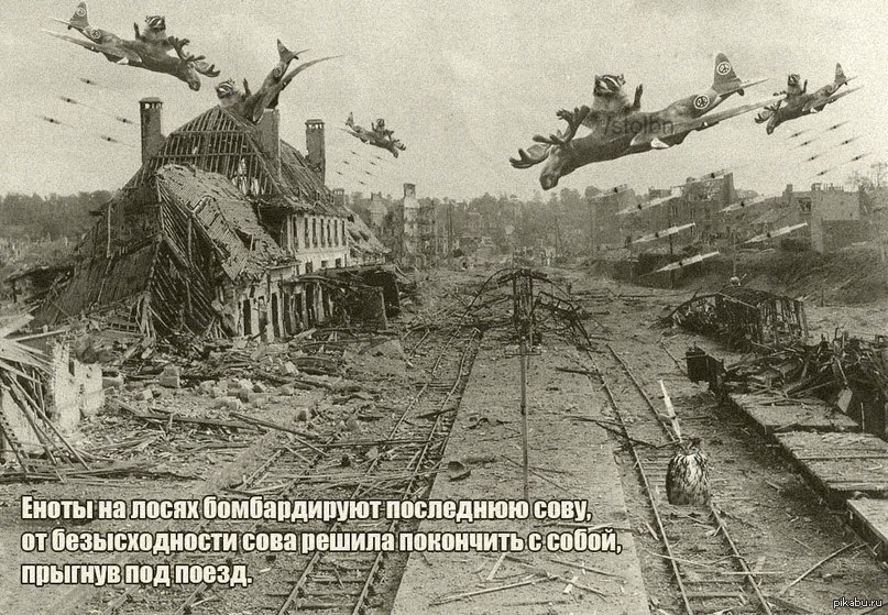 Ам Ам Амстердам | Пикабу