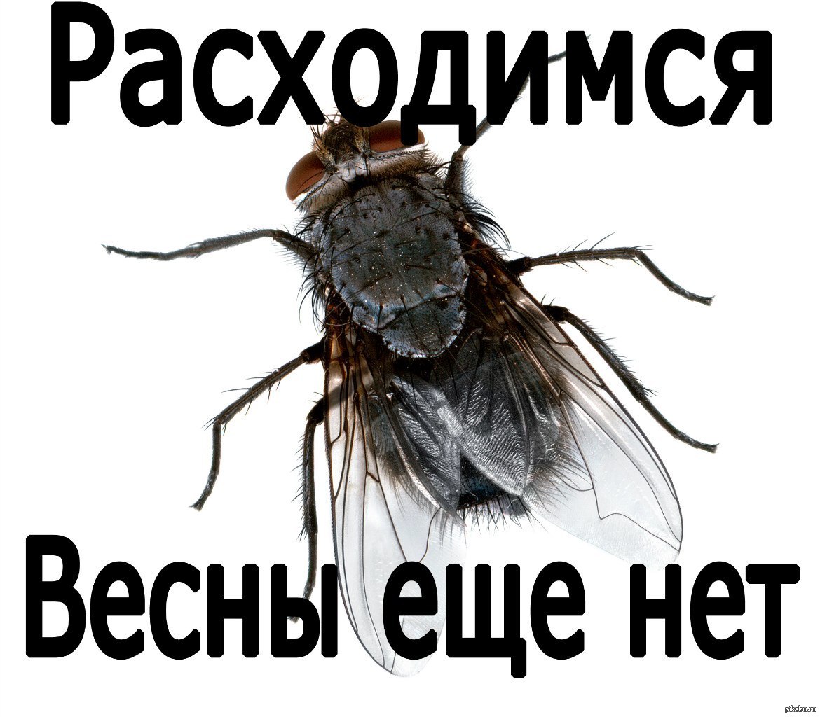 Актуально | Пикабу